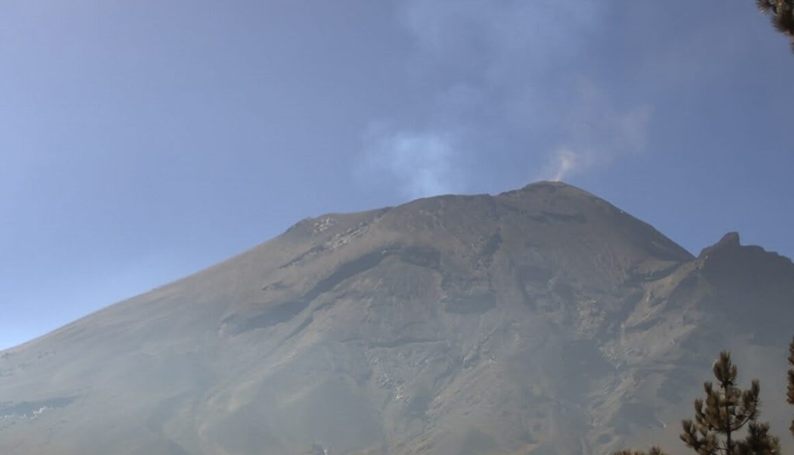 Imagen de WhatsApp 2025-11-21 a las 11.21.16_fe2bb04b