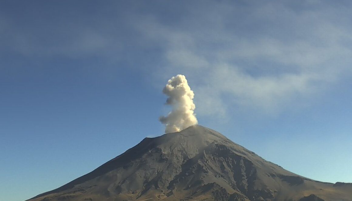 Imagen de WhatsApp 2025-11-24 a las 12.25.32_4d40b78b