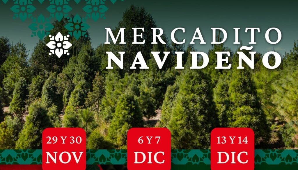 Imagen de WhatsApp 2025-11-24 a las 16.25.40_ddac61e9