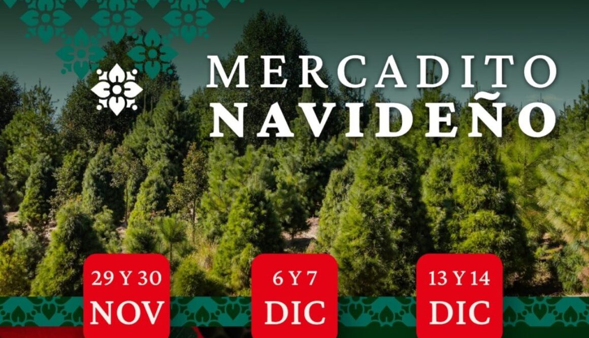 Imagen de WhatsApp 2025-11-24 a las 16.25.40_ddac61e9