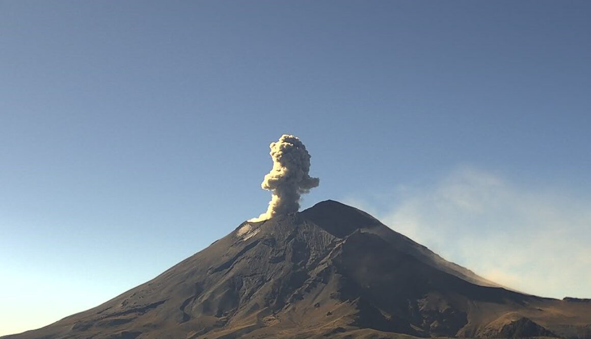 Imagen de WhatsApp 2025-11-25 a las 11.00.19_49d26817