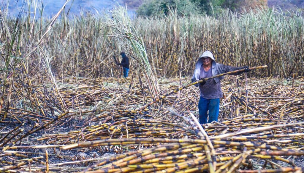 Imagen de WhatsApp 2025-11-26 a las 11.15.15_1c981498