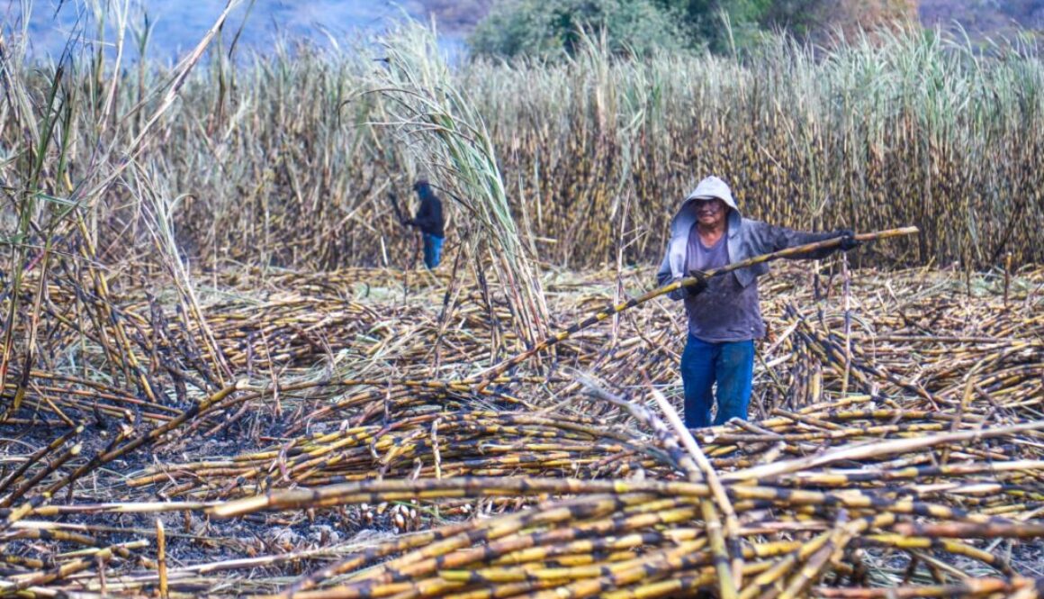 Imagen de WhatsApp 2025-11-26 a las 11.15.15_1c981498