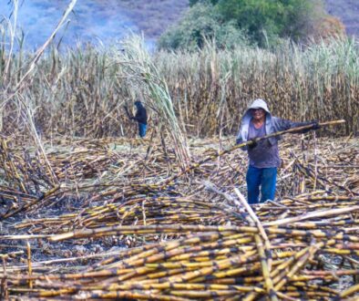 Imagen de WhatsApp 2025-11-26 a las 11.15.15_1c981498