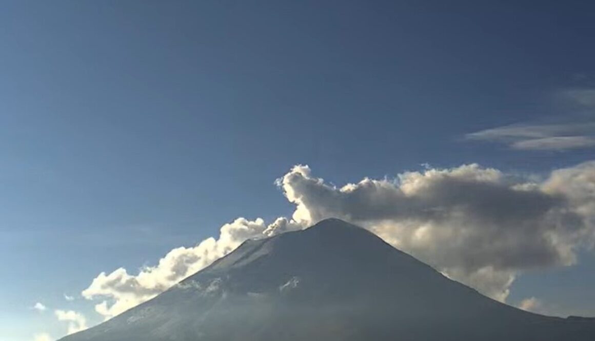 Imagen de WhatsApp 2025-11-27 a las 12.10.46_72b4865b