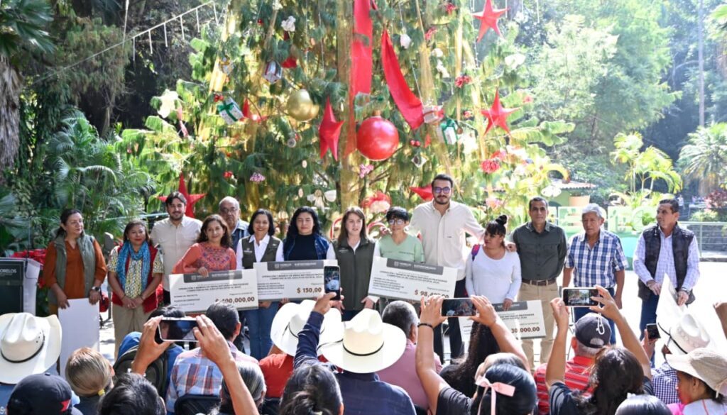 Imagen de WhatsApp 2025-11-27 a las 13.50.41_dbb233a8