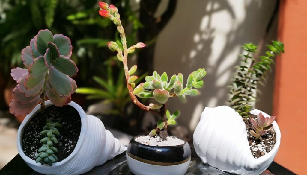 Imagen de WhatsApp 2025-11-28 a las 08.50.19_a848adf3