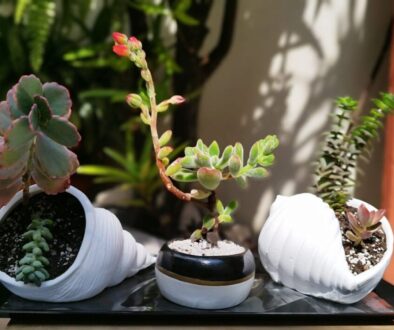 Imagen de WhatsApp 2025-11-28 a las 08.50.19_a848adf3