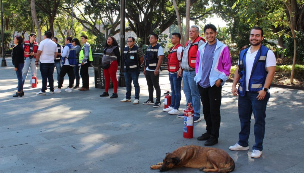 Imagen de WhatsApp 2025-11-28 a las 10.57.07_1e8cb1e3