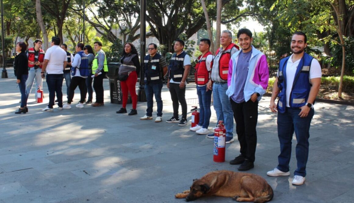 Imagen de WhatsApp 2025-11-28 a las 10.57.07_1e8cb1e3