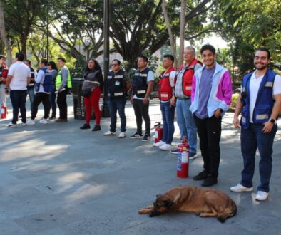 Imagen de WhatsApp 2025-11-28 a las 10.57.07_1e8cb1e3