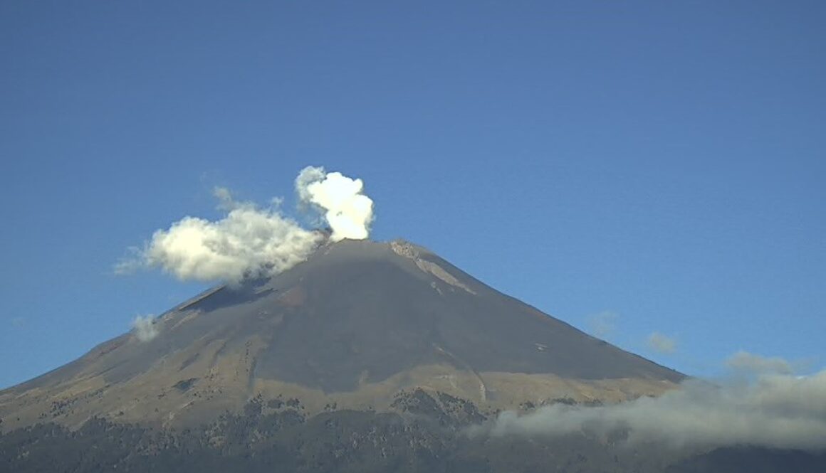 Imagen de WhatsApp 2025-11-28 a las 11.45.12_6e4641ab