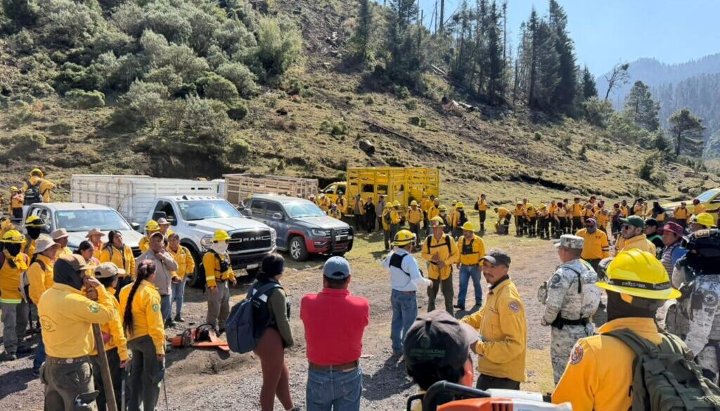 Imagen de WhatsApp 2025-11-28 a las 17.35.13_51f7dd59