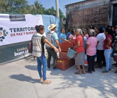 Imagen de WhatsApp 2025-11-29 a las 10.00.18_ca3f3810