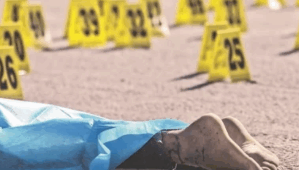 Incidencia delictiva