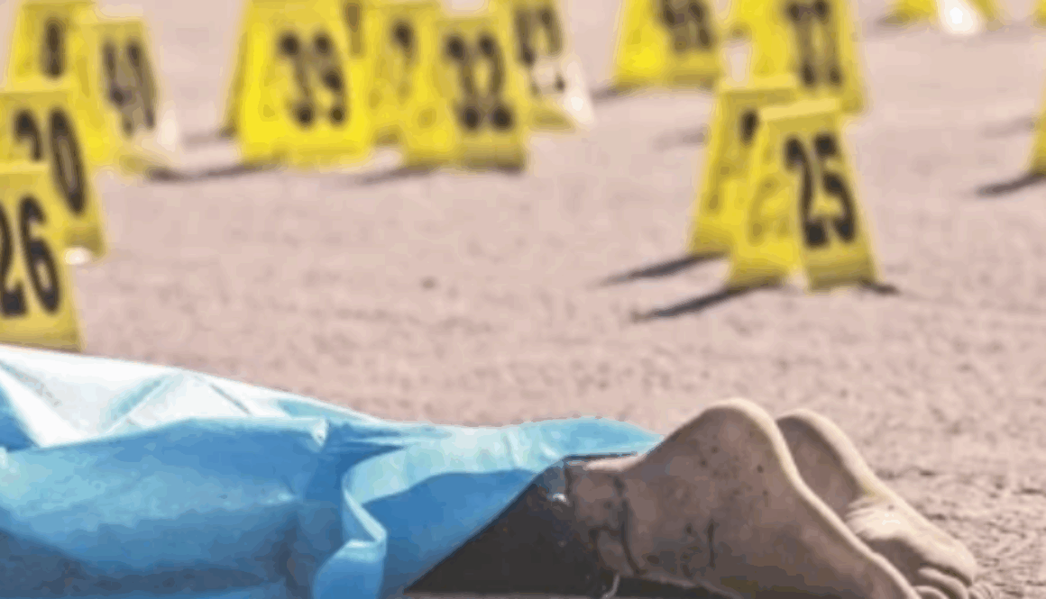 Incidencia delictiva