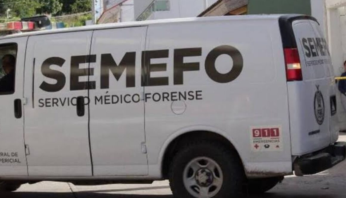 Screenshot_20250109_124831_com.google.android.googlequicksearchbox