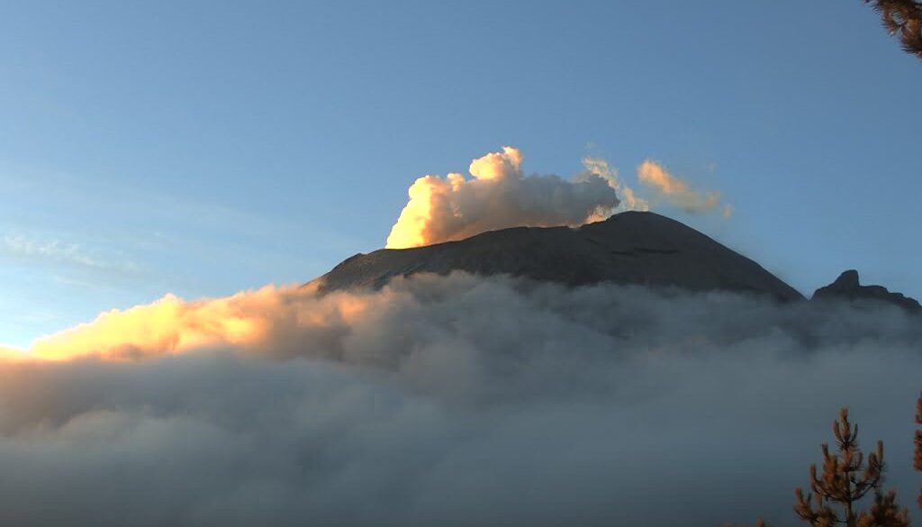 cd28f89a-d955-4de1-b582-ab9c589af02d