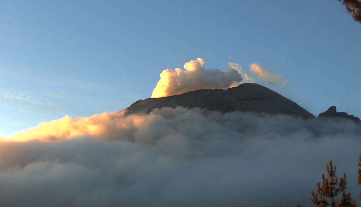 cd28f89a-d955-4de1-b582-ab9c589af02d