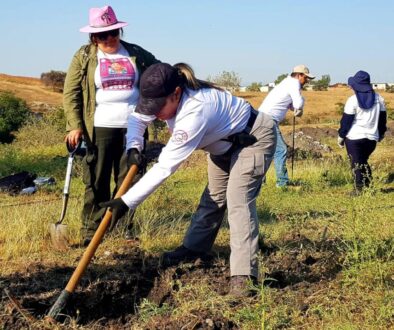 pdp_busquedamorelos_bnb_estrellapedroza03