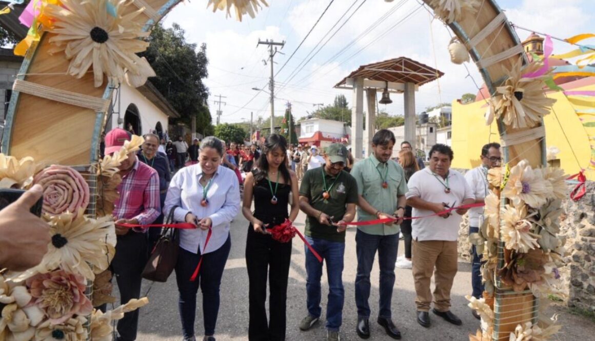 1896dc79-25e3-4190-8586-ef67cf123d50