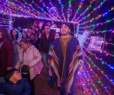 203d9d21-a3d1-47a8-86ce-0b9fc2f0bd30