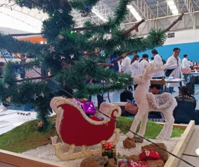 Concurso Jugando con los cristales3