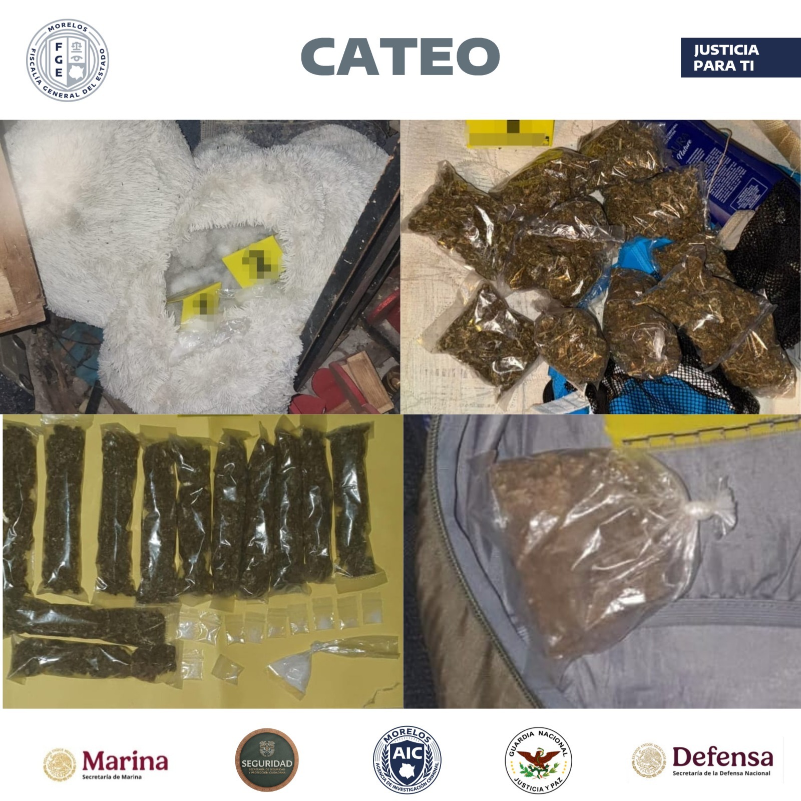 CATEA COE DE MANERA SIMULTÁNEA INMUEBLES EN TEMIXCO PRESUNTAMENTE RELACIONADOS CON VENTA DE DROGAS