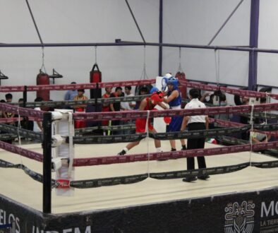 Imagen de WhatsApp 2025-12-02 a las 16.37.43_2c483897