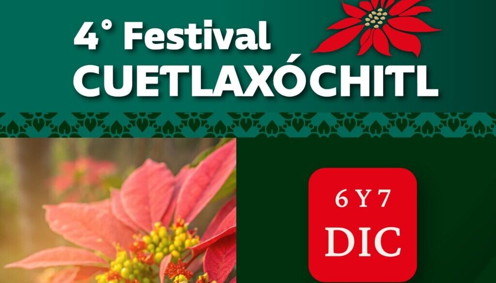 Imagen de WhatsApp 2025-12-03 a las 13.50.19_2803a9e1