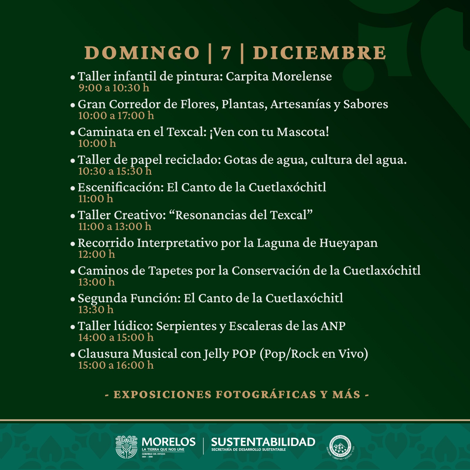 Imagen de WhatsApp 2025-12-03 a las 13.50.20_c8571820