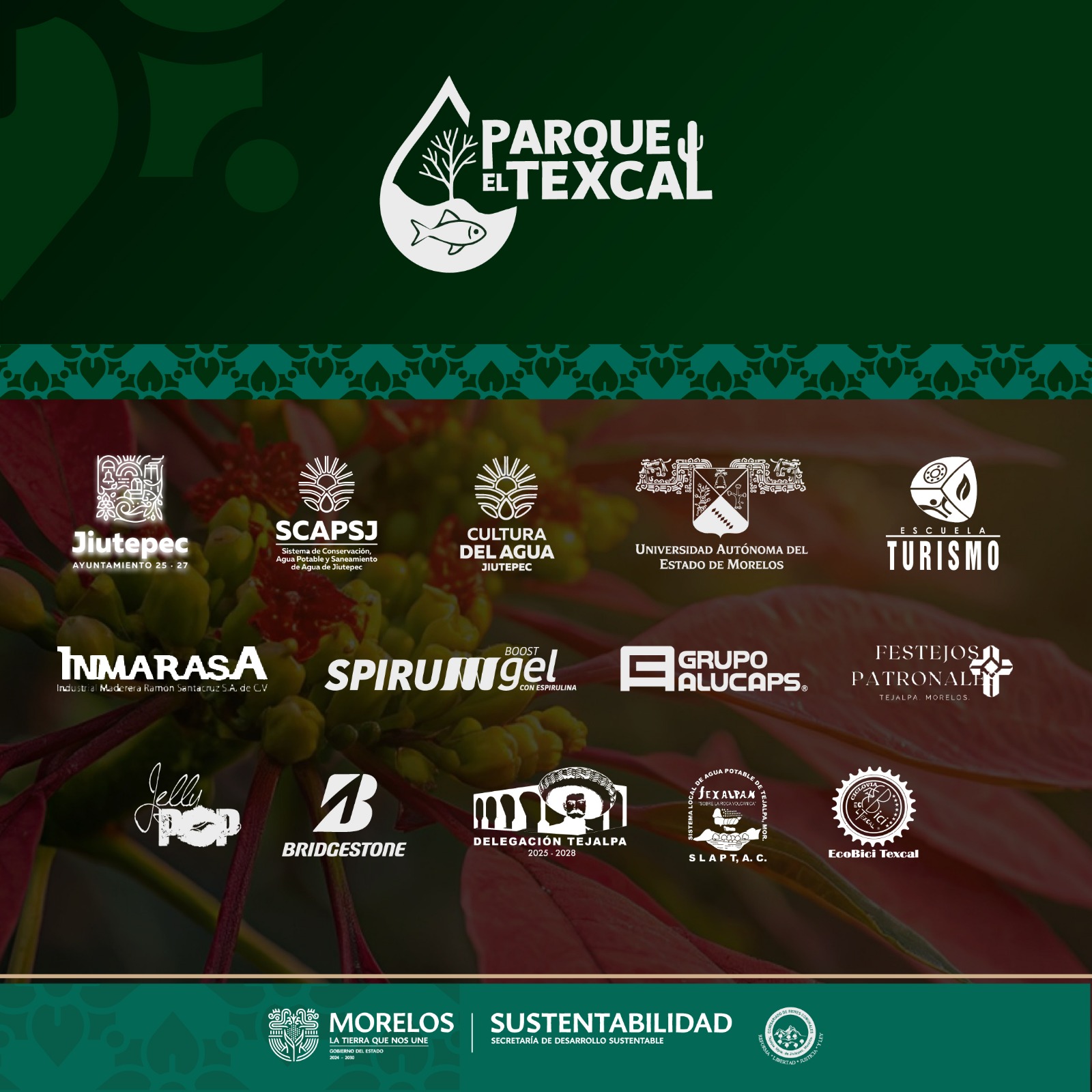 Imagen de WhatsApp 2025-12-03 a las 13.50.21_0427c83d