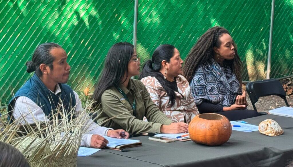 Imagen de WhatsApp 2025-12-03 a las 18.30.35_4aee4e8b