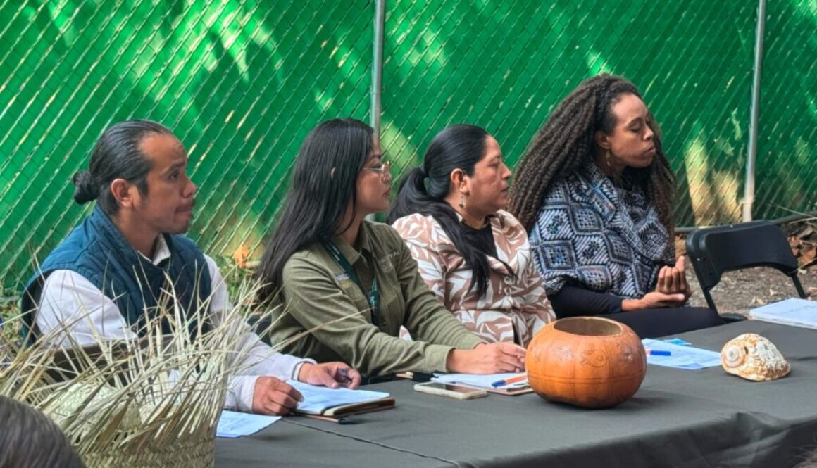 Imagen de WhatsApp 2025-12-03 a las 18.30.35_4aee4e8b