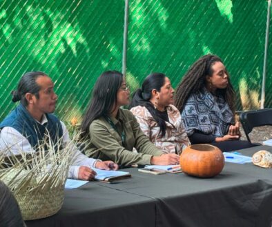 Imagen de WhatsApp 2025-12-03 a las 18.30.35_4aee4e8b