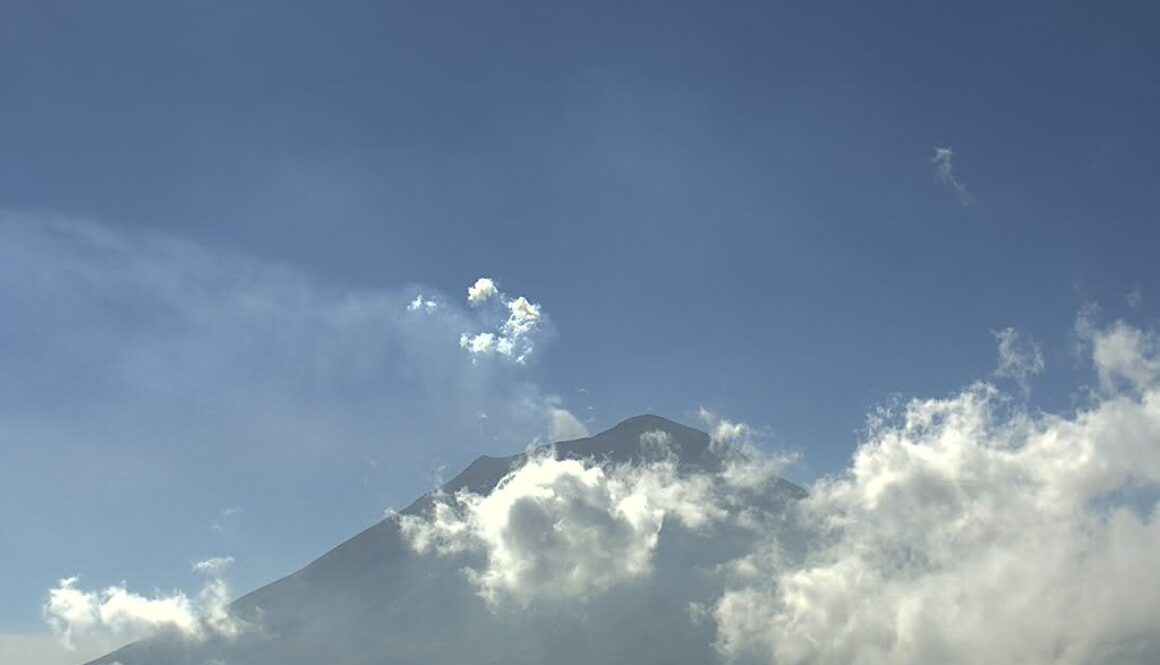 Imagen de WhatsApp 2025-12-05 a las 11.26.01_f649aeed