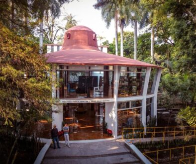 Imagen de WhatsApp 2025-12-05 a las 12.19.25_5f874088