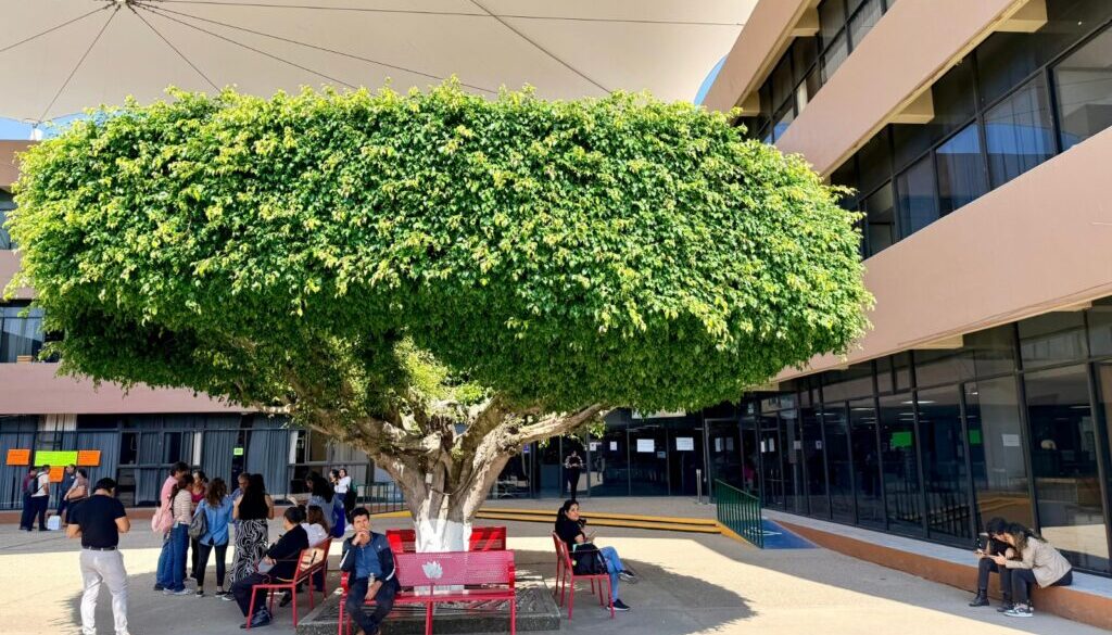 Imagen de WhatsApp 2025-12-05 a las 14.11.26_a51d624e