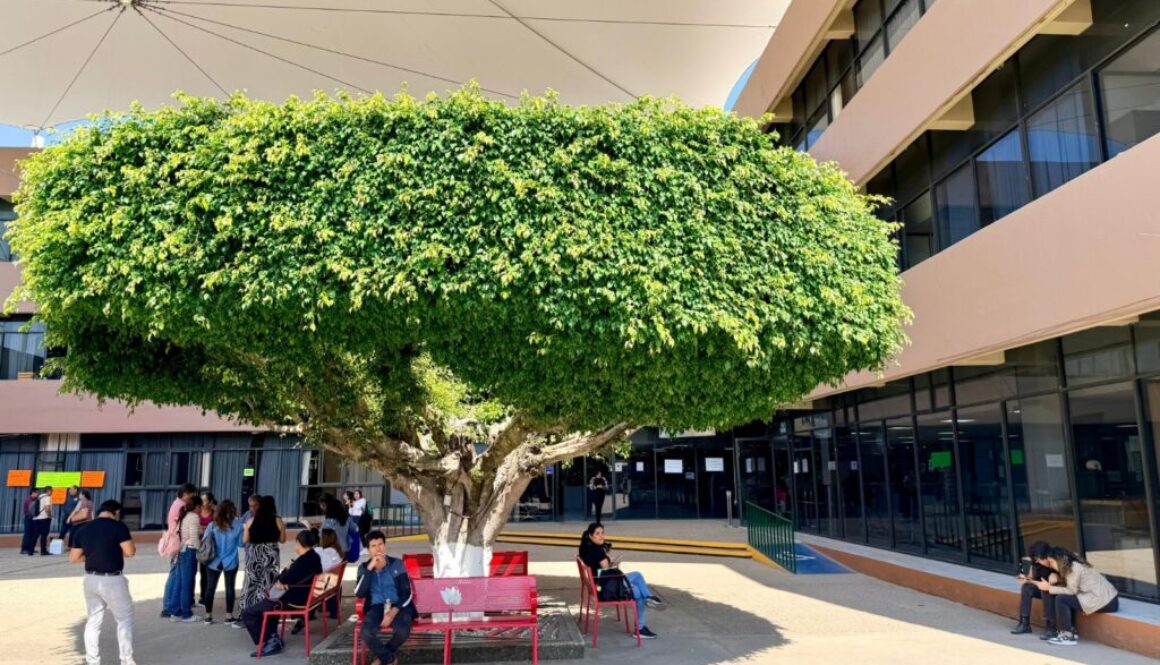 Imagen de WhatsApp 2025-12-05 a las 14.11.26_a51d624e