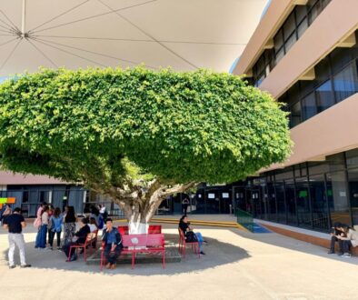 Imagen de WhatsApp 2025-12-05 a las 14.11.26_a51d624e