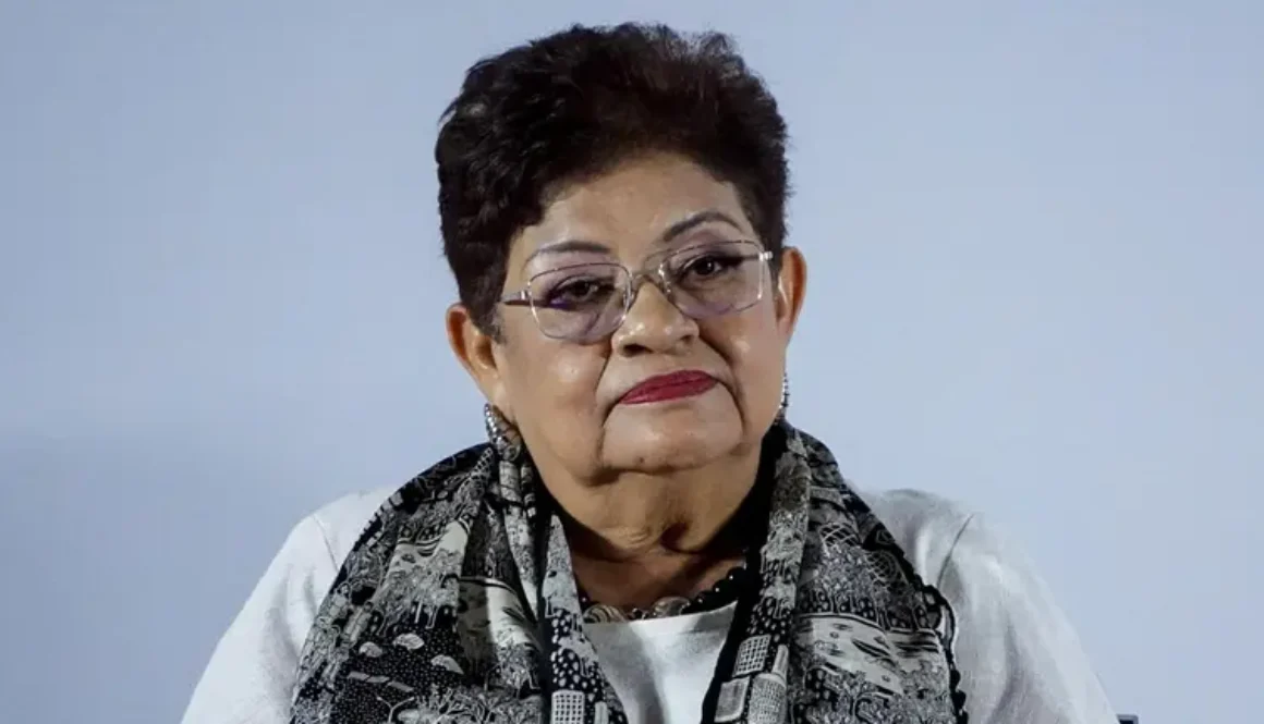 perfil-ernestina-godoy-ramos